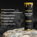 Pure Shilajit Honey Sticks
